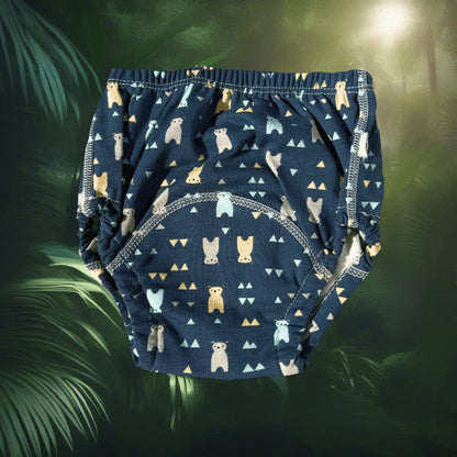 Potty Training Underwear