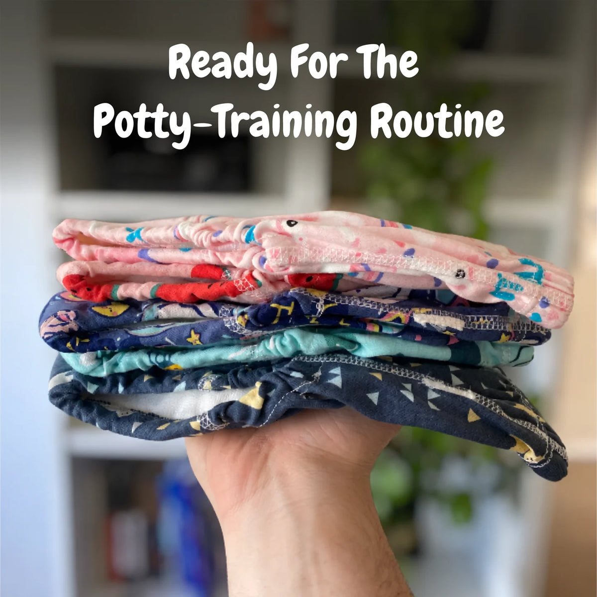 Potty Training Underwear